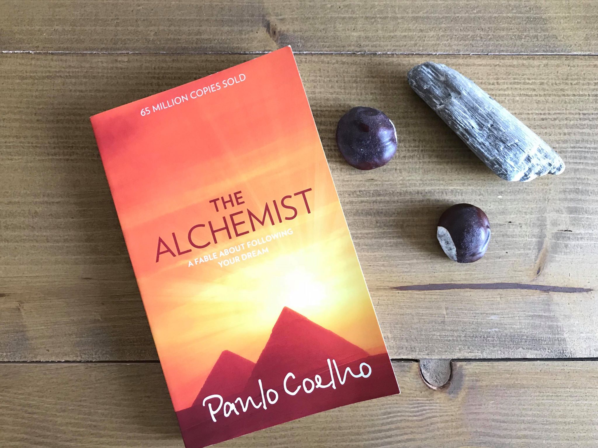 De Alchemist van Paulo Coelho Recensie by Book Barista