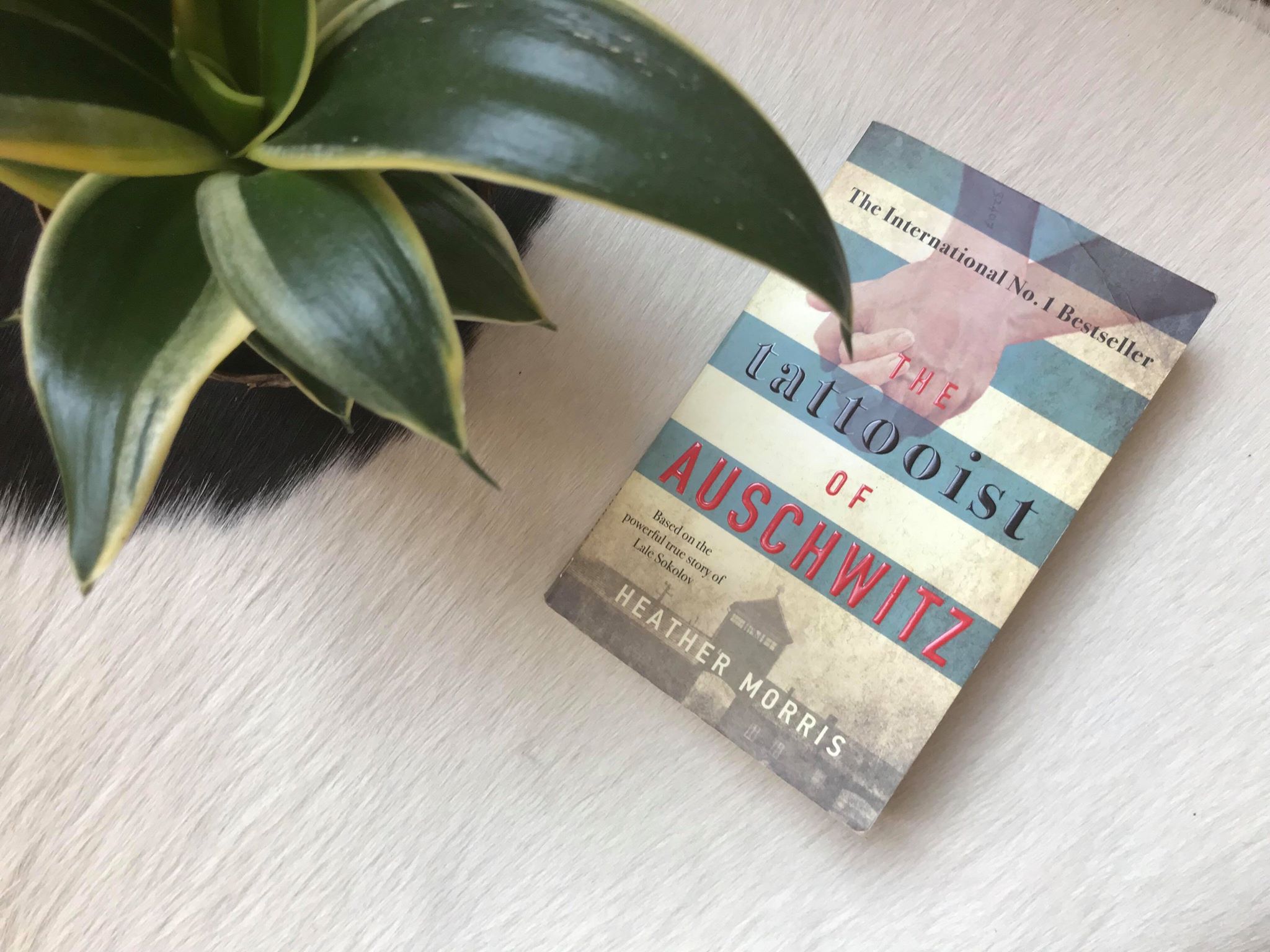 De tatoeeerder van Auschwitz van Heather Morris Recensie by Book Barista