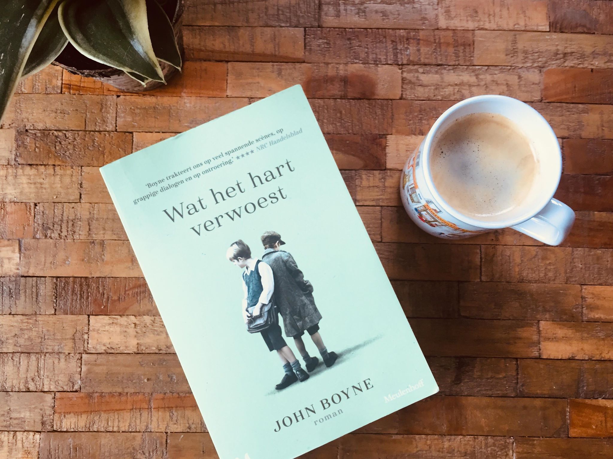 Wat het hart verwoest van John Boyne Recensie by Book Barista